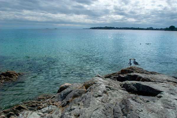 Oak Bay shoreline near luxury homes