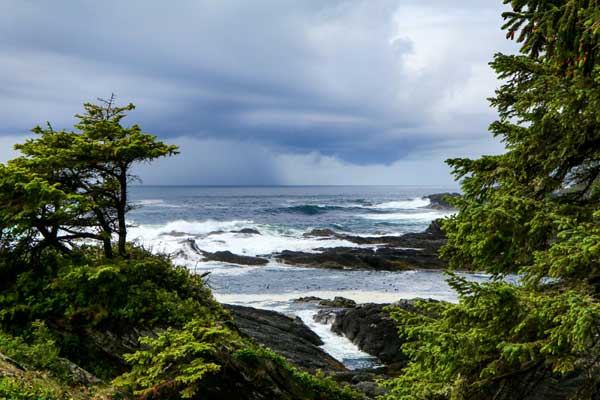 Rugged Pacific coastline and evergreen forest near Sooke on Vancouver Island